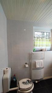 a bathroom with a toilet and a window at Zimmervermietung38 - Nebel in Salzgitter