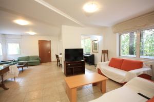ein Wohnzimmer mit einem Sofa und einem TV in der Unterkunft 2 Bedroom Apartment 120square meters & Park View in Athen