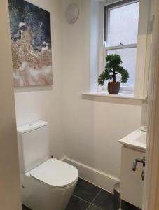 a bathroom with a toilet and a window and a plant at Luxury Town Centre Apartment in Ipswich