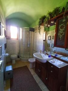 a bathroom with a shower and a sink and a toilet at Casa nel bosco Il Grottone in Montaione
