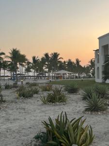 a view of a beach with palm trees and a building at Cozy new townhouse for 6 people! in Salalah