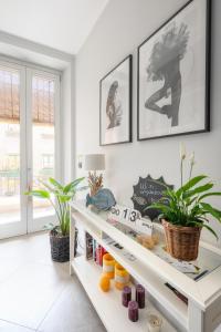 um quarto com uma prateleira branca com plantas em B&b Spigolehouse em Siracusa