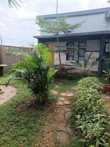 a house with a palm tree in front of it at Shalakwe Hills-Inn B&B Kasane in Kasane