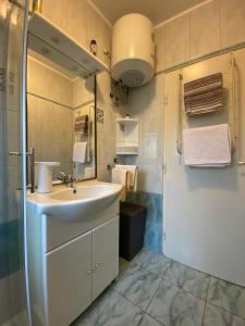 ein Badezimmer mit einem weißen Waschbecken und einer Dusche in der Unterkunft Apartment Kri-Mar in Selce