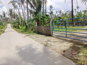Fotografie z fotogalerie ubytování Bayay ni Nanay Bed & Breakfast in Magpupungko Beach Road v destinaci Pilar