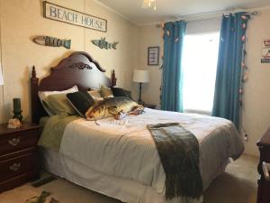 Afbeelding uit fotogalerij van Amazing Views near Grand Canyon Skywalk in Meadview