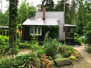 a small house in the middle of a garden at Letnisko SYMSAR 6, Drewniany domek letniskowy z ogrodem in Wernegity