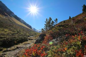 a view of a mountain with the sun in the sky at Aenna Apart Prutz in Prutz