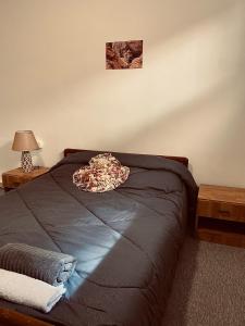 un letto con un cuscino in una camera da letto di Montana Inn a Wadi Musa