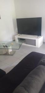 Televisyen dan/atau pusat hiburan di VILLA JAGUAR