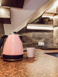 a pink appliance sitting on a counter in a kitchen at Apartament przy wyciągach,wieża widokowa in Krynica Zdrój