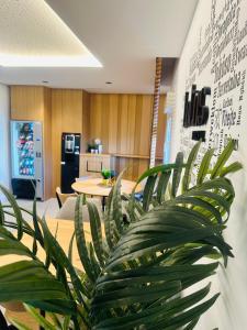 eine Topfpflanze in einem Büro mit einem Tisch in der Unterkunft HOTEL LOTUS in Caldas de Reis