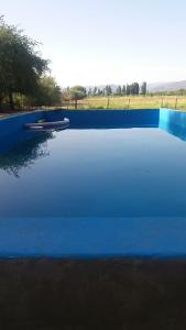 a blue swimming pool with a blue surface at Finca ELSA in San Agustín de Valle Fértil