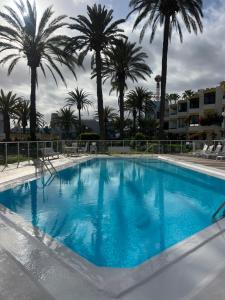 una gran piscina con palmeras en el fondo en San Agustin2, quiet apartment close to the beach, en San Bartolomé