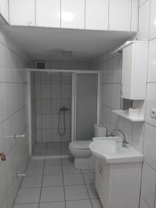 uma casa de banho com um chuveiro, um WC e um lavatório. em KESKINEL apart daire em Amasra