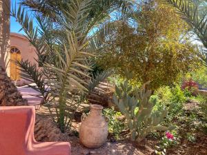 A garden outside Riad Imuhar