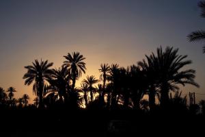 The sunrise or sunset as seen from a riádokat or nearby