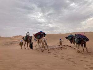 Riad Imuhar vendégei