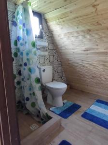 a bathroom with a toilet and a shower curtain at Căsuțele din Zăbran in Gornenţi