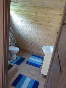 La salle de bains est pourvue de toilettes et d'un lavabo. dans l'établissement Căsuțele din Zăbran, 