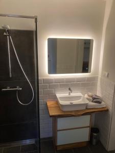 a bathroom with a sink and a shower with a mirror at SUITE-DREAMS LOFT - Innenstadt in Hannover