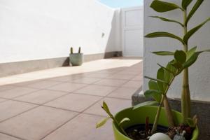 Fotografie z fotogalerie ubytování Casa Notas de Color Y Sal v destinaci Agaete