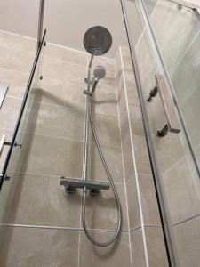 a shower in a bathroom with a glass door at Résidence blue dream in Les Trois-Îlets +16 photos