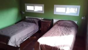 Duas camas num quarto com paredes verdes e janelas em Tierra Nativa Cabañas de Montaña em Cortaderas