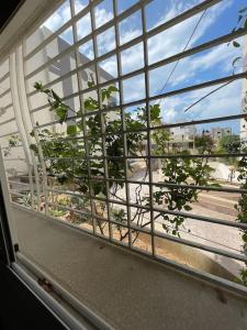 モナスティルにあるAppart calme & chaleureux en résidence près de la merの植物の景色を望む窓