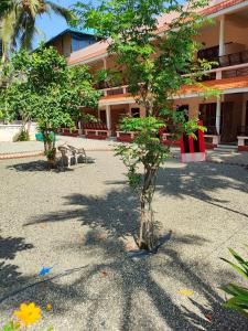 a small tree in front of a building at Hotel Cocobeach Kovalam in Kovalam