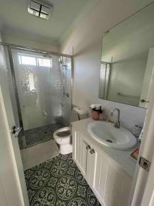 a bathroom with a toilet and a sink and a shower at Hunter Valley D'Vine Stay II in Nulkaba