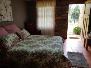 ein Schlafzimmer mit einem Bett in einem Zimmer mit einem Fenster in der Unterkunft Old Cape Cottage (Duck & DoLittle) in Joubertina