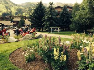 Ein paar Blumen in einem Garten mit Motorrädern. in der Unterkunft The Hostel in Teton Village