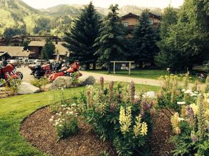 a bunch of flowers in a yard with motorcycles at The Hostel in Teton Village