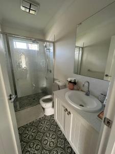 ein Bad mit einem WC, einem Waschbecken und einer Dusche in der Unterkunft Hunter Valley D'Vine Stay II in Nulkaba