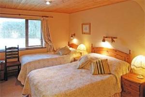 a bedroom with two beds and a window at Bunratty Heights Guesthouse in Bunratty