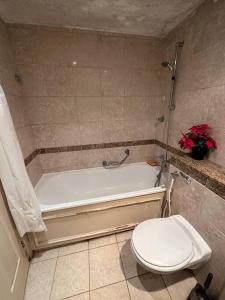 a bathroom with a toilet and a bath tub with a toilet at A 2 standard bedrooms flat in London