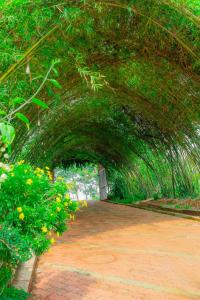 a tunnel with a walkway with trees and flowers at Phuong Nam Gia Trang Farmstay in Gia Nghĩa