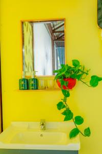 Phòng tắm tại Phuong Nam Gia Trang Farmstay