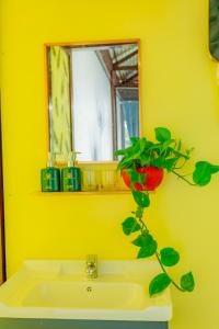 a yellow bathroom with a sink and a plant at Phuong Nam Gia Trang Farmstay in Gia Nghĩa