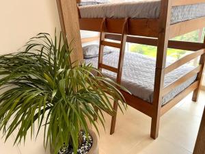 ein Zimmer mit einem Etagenbett und zwei Topfpflanzen in der Unterkunft Espectacular vista cerca a cable plaza con Piscina in Manizales + 15 Fotos