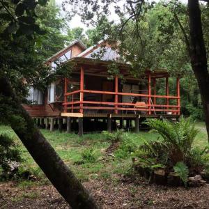 una gran casa de madera en medio de un bosque en Agradable Cabaña inserta en bosque nativo en Pucón