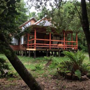 a large wooden house in the middle of a forest at Agradable Cabaña inserta en bosque nativo in Pucón