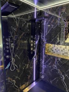 a shower with purple lights in a bathroom at Gîte orconiat LAC du DER in Orconte +7 photos