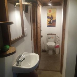 a bathroom with a sink and a toilet at Casa Camaleao Gekko Cottadge in Praia do Tofo