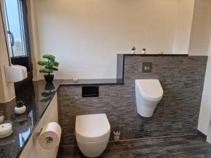 a bathroom with a toilet and a sink at Ferienwohnung am See Dillich - Schwimmteich - Eigener Garten - Ruhige Lage - Hunde willkommen in Borken