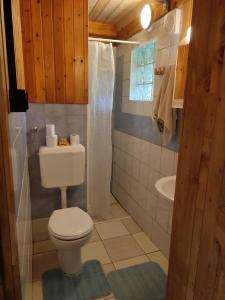 a small bathroom with a toilet and a shower at Beehive cabin on a farm in Radovljica