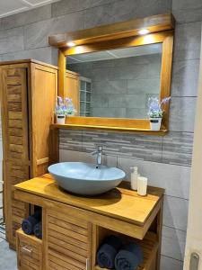 y baño con lavabo y espejo. en La Trinité, charme historique du Sud Sauvage en Saint-Philippe