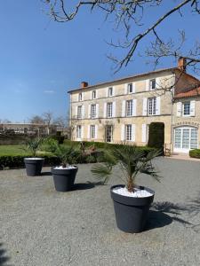 a group of potted plants in front of a building at Logis Domaine du Prieuré in Tonnay-Boutonne
