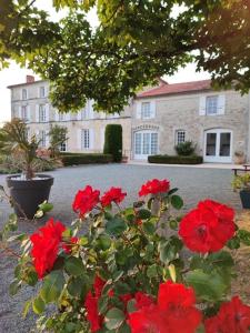 een groep rode bloemen voor een huis bij Logis Domaine du Prieuré in Tonnay-Boutonne